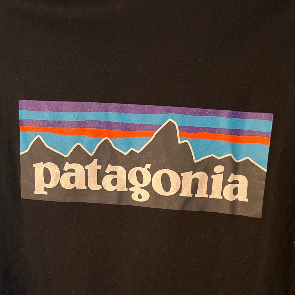 Patagonia Adult Small L/S Tee